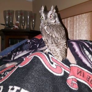 Meet your Posher, Patty